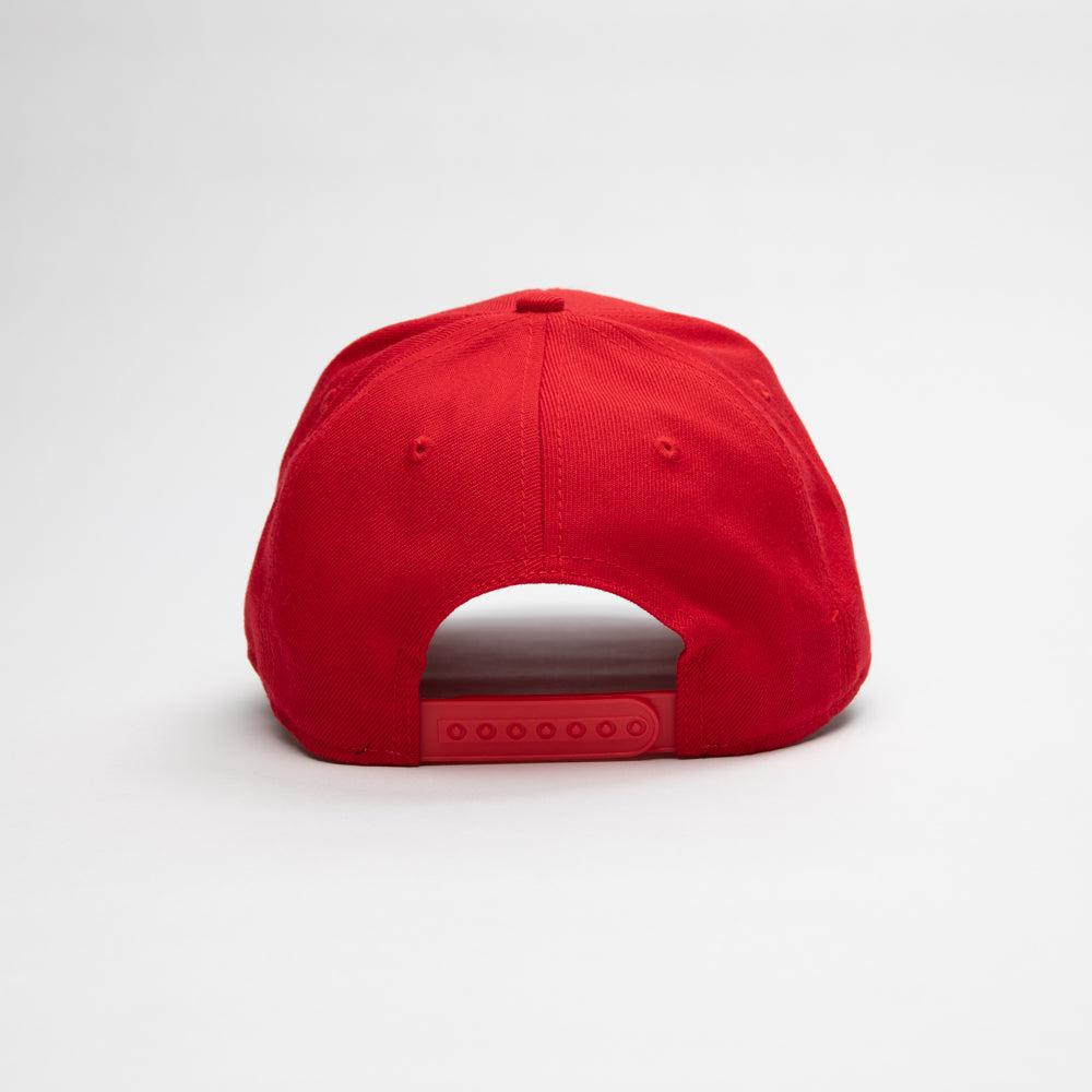 St-George-Illawarra-Dragons-American Needle Stadium Cap