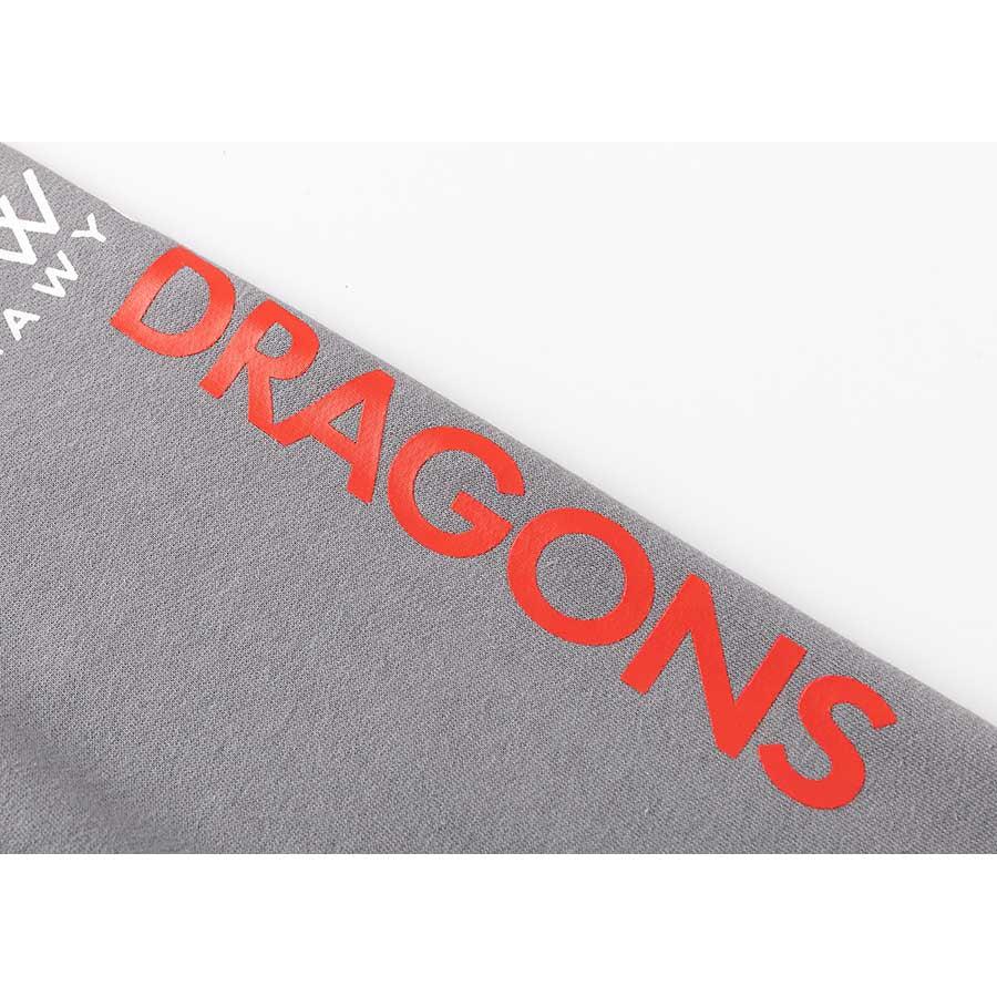 St-George-Illawarra-Dragons-Classic Dragons 2025 Women's Pullover Hoodie