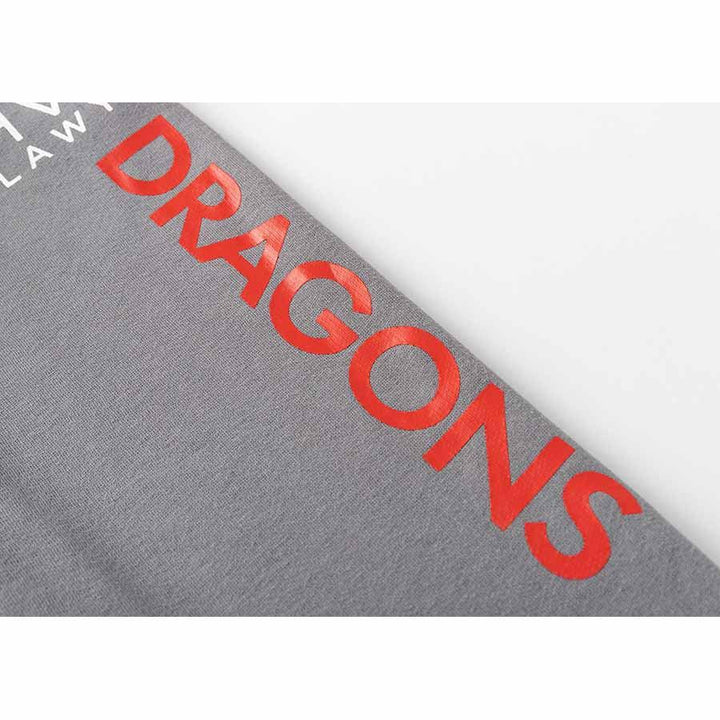 St-George-Illawarra-Dragons-Classic Dragons 2025 Youth Pullover Hoodie