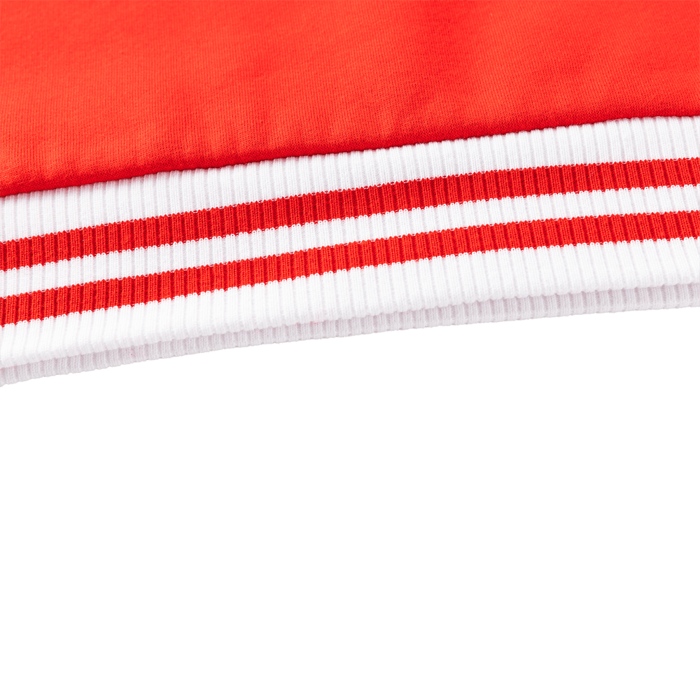 St-George-Illawarra-Dragons-Classic Dragons 2026 Youth Hoodie