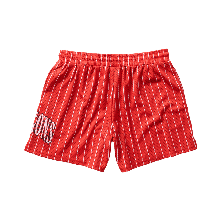 St-George-Illawarra-Dragons-Dragons Adult Basketball Shorts