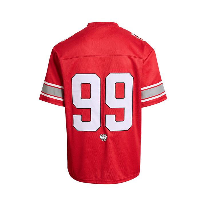 St-George-Illawarra-Dragons-Dragons Adult Gridiron Mesh Jersey