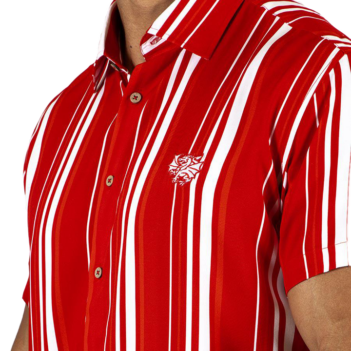 St-George-Illawarra-Dragons-Dragons Adult Sorrento Party Shirt