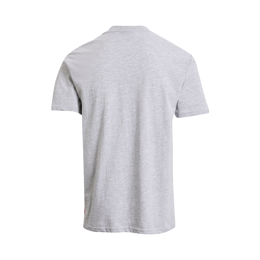 St-George-Illawarra-Dragons-Dragons Adult Stamp Tee