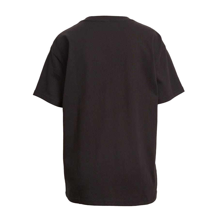 St-George-Illawarra-Dragons-Dragons Women's Lifestyle T-Shirt