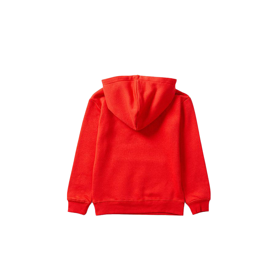 St-George-Illawarra-Dragons-Dragons Youth Collegiate Hoodie