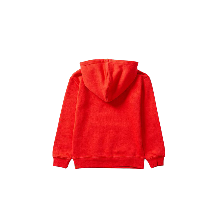 St-George-Illawarra-Dragons-Dragons Youth Collegiate Hoodie