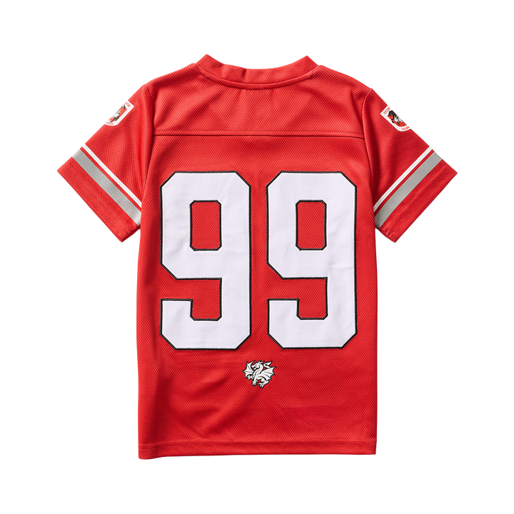 St-George-Illawarra-Dragons-Dragons Youth Gridiron Mesh Jersey