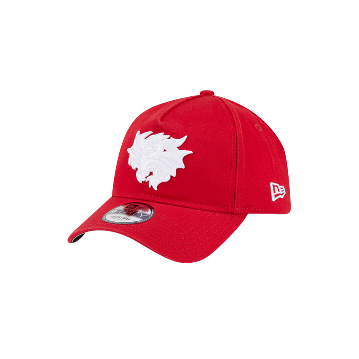 St-George-Illawarra-Dragons-New Era Dragons 9Forty Washed Team Colours Cap