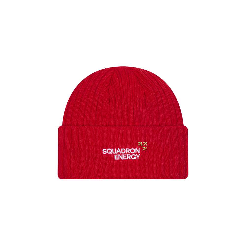 St-George-Illawarra-Dragons-New Era Dragons Team Official 2026 Beanie