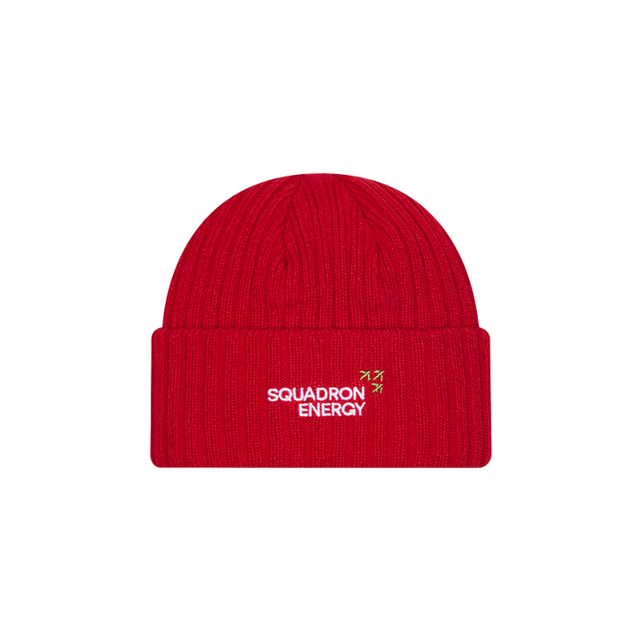 St-George-Illawarra-Dragons-New Era Dragons Team Official 2026 Beanie