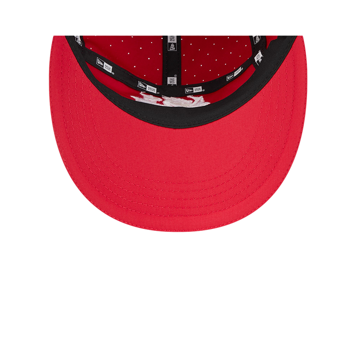 St-George-Illawarra-Dragons-New Era Dragons Team Official 2026 Training Cap