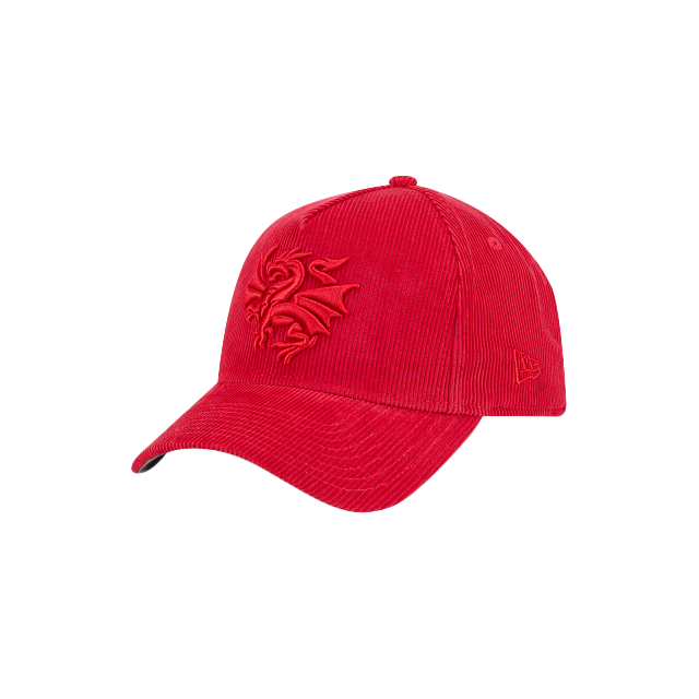 St-George-Illawarra-Dragons-New Era Dragons Tonal 9Forty A-Frame