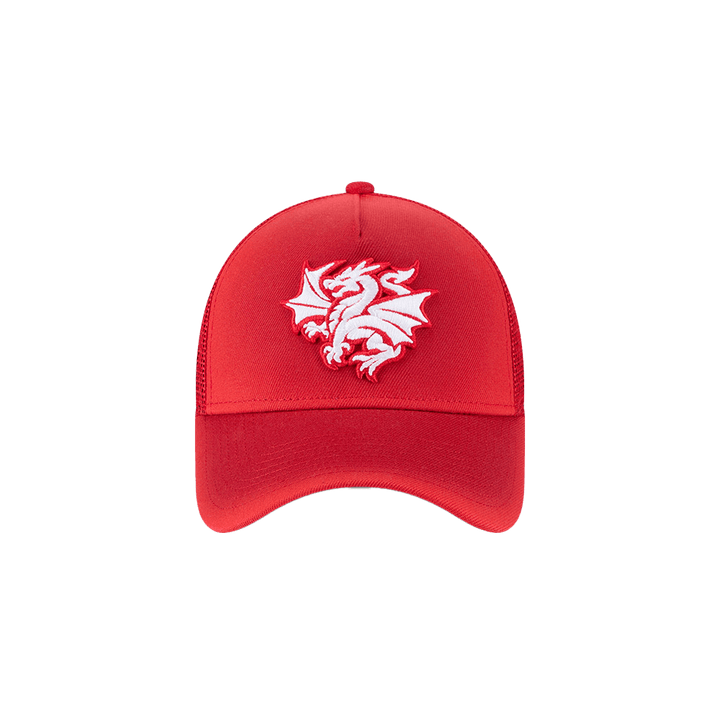 St-George-Illawarra-Dragons-New Era Dragons Vegas 9Forty Trucker Cap